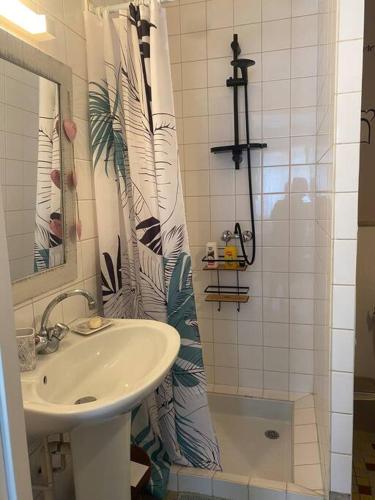 a bathroom with a sink and a shower curtain at L’évidence…. in Flavigny-sur-Moselle