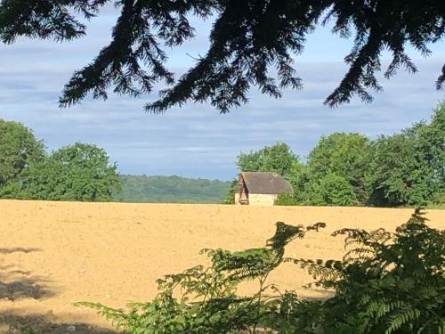 a horse in a field with a barn in the background at Les Hortensias in Espoey