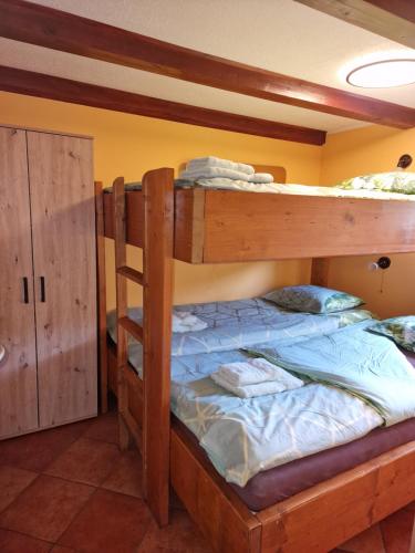 a bedroom with two bunk beds in a room at Apartments Relax Jezerca in Cerklje na Gorenjskem