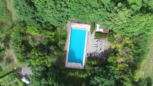 einen Blick über einen Pool im Wald in der Unterkunft Castell Rose in Prades