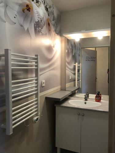 une salle de bain avec un lavabo et un miroir dans l'établissement Appartement au calme nature et centre ville, à Quimper