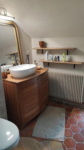 une salle de bain avec un lavabo et un miroir dans l'établissement Calme et confort à la campagne en Bourgogne vinicole,, à Aubigny-la-Ronce