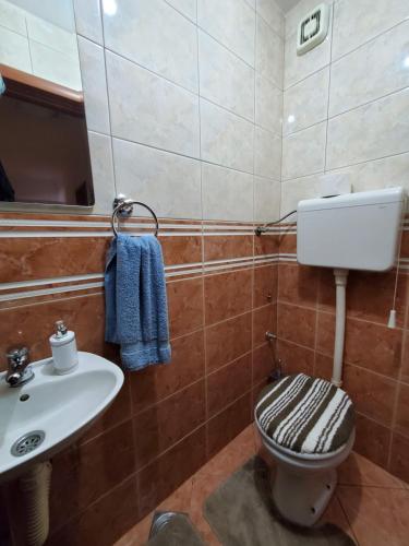 La salle de bains est pourvue de toilettes et d'un lavabo. dans l'établissement EXIT apartment Novi Sad 68m2, à Novi Sad