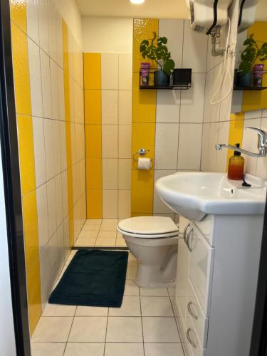 łazienka z toaletą i umywalką w obiekcie Apartmán Monstera w mieście Kolín