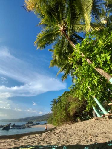 a beach with a palm tree and the ocean at Casa Namaste del Pacifico - Luxury Villa in Santa Teresa Beach