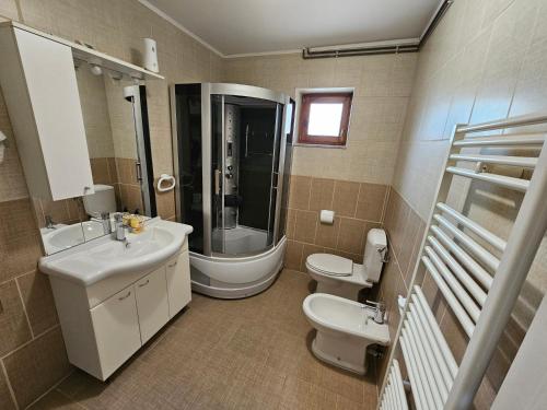 a bathroom with a sink and a toilet and a shower at Apartment Topalović in Korenica