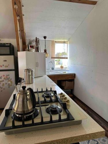 Il comprend une cuisine équipée d'une cuisinière et d'une bouilloire. dans l'établissement Cosy Cabane Boise solaire, Balneo bath et toilette seche a la Ferme, à Mimizan