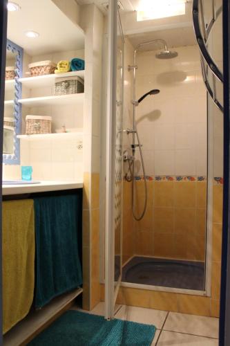 a shower in a bathroom with a glass shower stall at A la belle étape in La Fouillouse