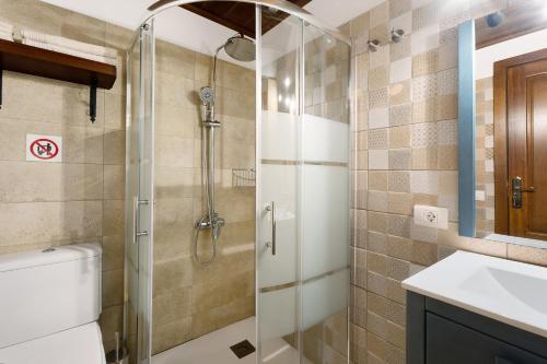 een badkamer met een douche, een toilet en een wastafel bij Cueva El Desvelo in Tijarafe