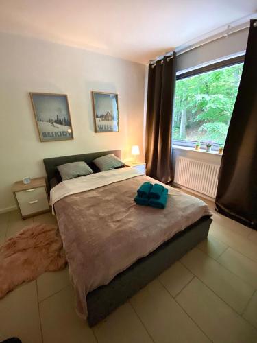 a bedroom with a large bed with a window at Bukove Love in Wisła