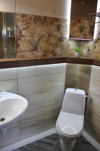 a bathroom with a toilet and a sink at Cottage Kazka Lisu in Skhidnitsa