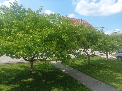 Taman di luar Apartman Gospić
