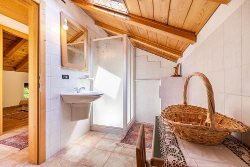 een badkamer met een wastafel en een mand bij Baita Cechin in Saone