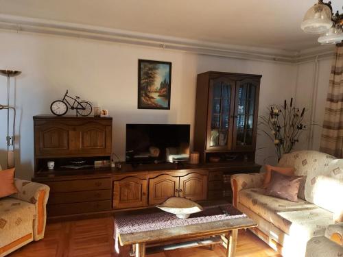 Μια τηλεόραση ή/και κέντρο ψυχαγωγίας στο Skitnica Kampus apartman i sobe