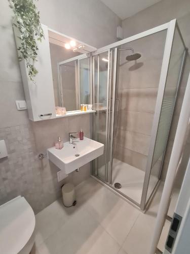 a bathroom with a shower and a sink and a toilet at Apartment Alea in Senj