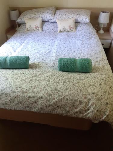 a bed with two green pillows on it at Swifts Nest in Carnguwch