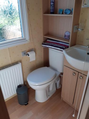 a small bathroom with a toilet and a sink at Swifts Nest in Carnguwch