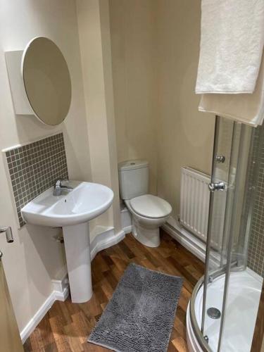 a bathroom with a sink and a toilet and a mirror at Ideal Flat for Work/Holidays/Fun in Etruria
