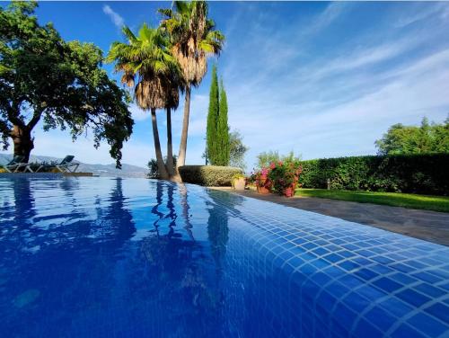 een zwembad met palmbomen op de achtergrond bij Comfy 2BR, 2Bathroom, Parking, Pool, Sea Views, Elviria Alta in Ojén