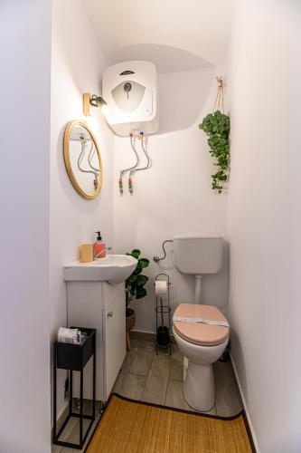 a bathroom with a toilet and a sink at BackPacker's Room in Braşov