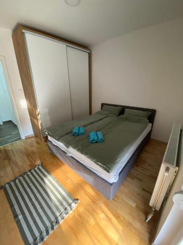 - une chambre dotée d'un lit avec deux chaussures bleues dans l'établissement Fruška sweetie 1, à Sremska Kamenica