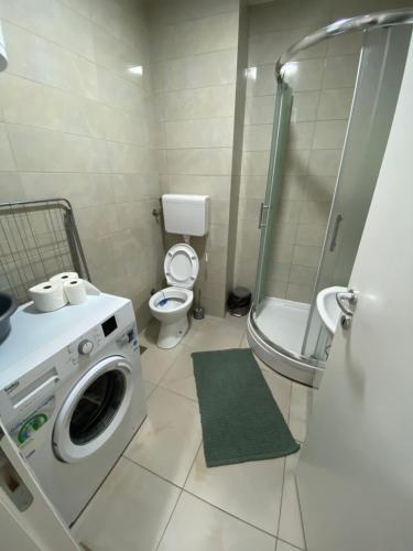 La salle de bains est pourvue d'un lave-linge et de toilettes. dans l'établissement Fruška sweetie 1, à Sremska Kamenica