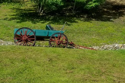a blue cart sitting on the grass in a field at Mama Bear's Dream in Sevierville