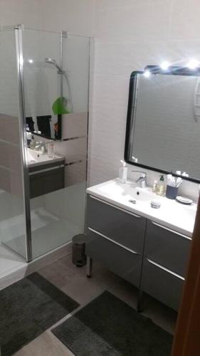 ein Bad mit einem Waschbecken, einer Dusche und einem Spiegel in der Unterkunft Appartement spacieux à deux pas du centre in Ciboure