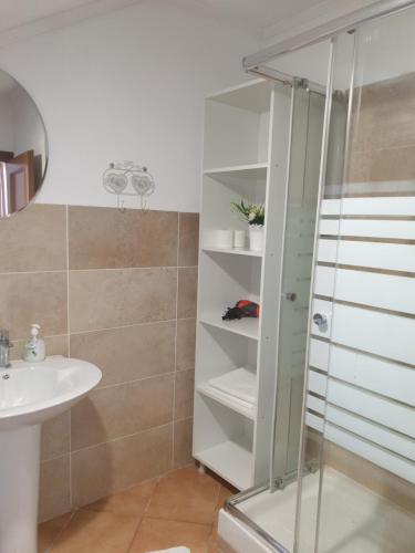 een badkamer met een douche en een wastafel bij Casa Maria in Negreşti-Oaş