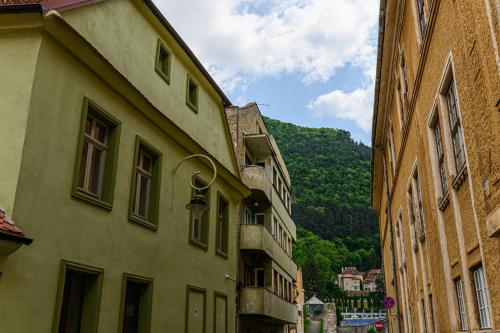 an alley with buildings and a mountain in the background at BackPacker's Room in Braşov