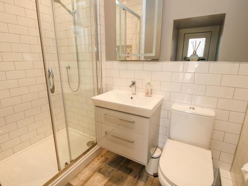 a bathroom with a toilet and a shower and a sink at Rectory Cottage in Oswestry