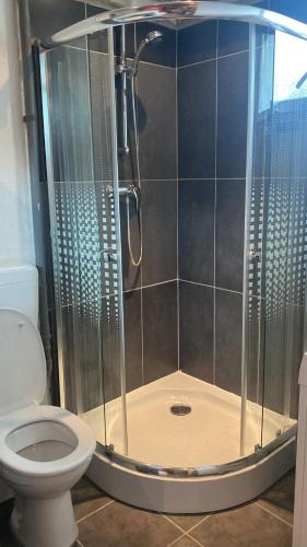 eine Duschkabine mit WC im Bad in der Unterkunft Ferienwohnung zwischen Wien und Tulln in Tulln