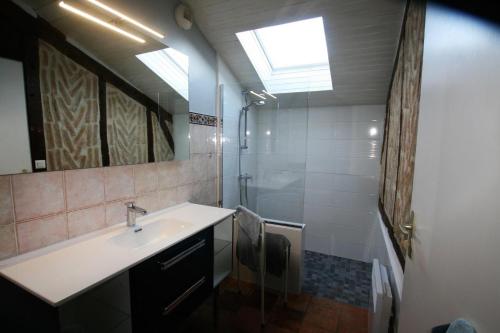 ein Bad mit einem Waschbecken und einer Dusche in der Unterkunft Grand rimbez in Poyanne