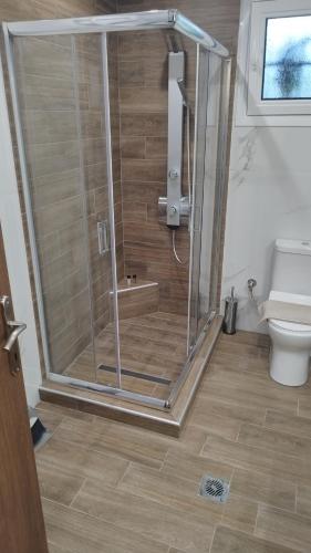 a shower stall in a bathroom with a toilet at Meteora countryside villa in Kalabaka