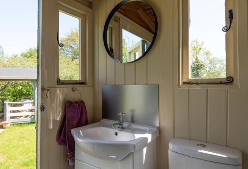 a bathroom with a sink and a toilet and a mirror at Safari Cornwall in Bodmin
