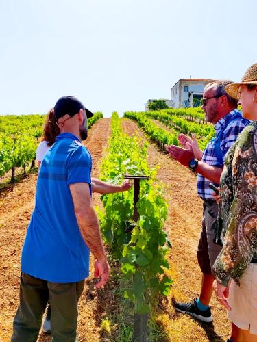 a group of people standing next to a vineyard at Libyan Princess in Palaiochóra