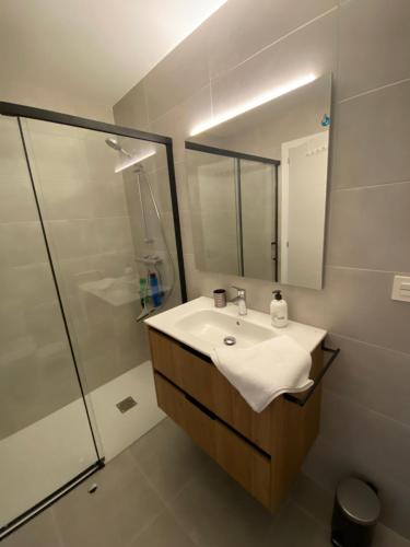 a bathroom with a sink and a shower at Apartamento Kerr in Azpeitia
