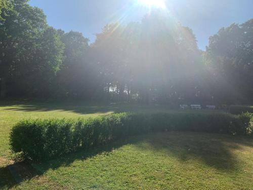 a park with the sun shining through the trees at Gutshausferien im Ostseehinterland in Thelkow