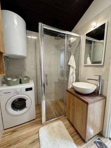 a bathroom with a shower and a sink and a washing machine at Mira's Apartment in Križevci