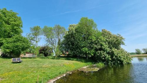 a bench sitting next to a river with trees at Gutshof Kämmerich - Fewo "Siebenschläferhöhle" in Altkalen