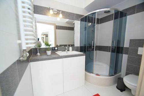 bagno con lavandino, doccia e servizi igienici di Apartament, Chorzowska 216 a Katowice
