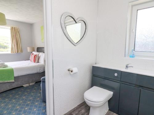 a bathroom with a toilet and a sink and a mirror at Aberceiro Bungalow in Bow Street