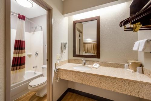 a bathroom with a sink and a toilet and a mirror at Red Roof Inn Asheville - Biltmore West in Asheville