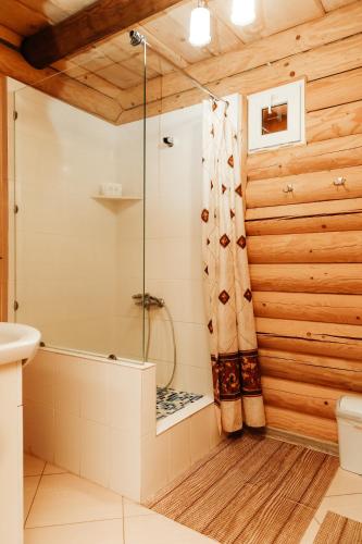 Koupelna v ubytování Chudodievo in Chynadievo Mini-Hotel