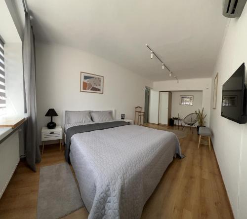 a bedroom with a large bed in a white room at Хостел Житомир GREEN HOUSE in Zhytomyr