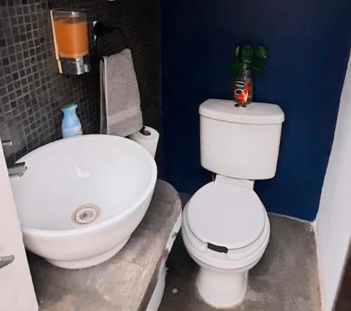 Koupelna v ubytování Habitaciones privadas con baño propio en una zona segura y céntrica de Guadalajara.