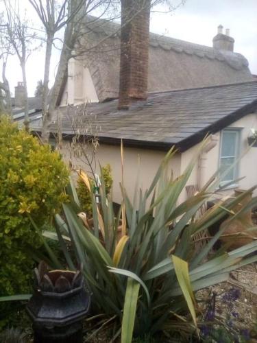 a house with plants in front of a yard at The Cabin in Hockham
