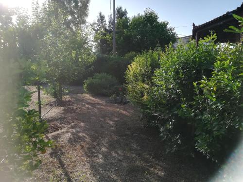 einen Garten mit Büschen und Bäumen und ein Haus in der Unterkunft Oleander in Eretria