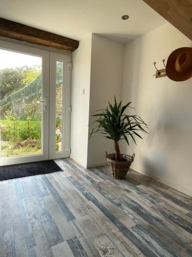 an empty room with a door and a potted plant at La Ferme du Raz Blanchard in Auderville