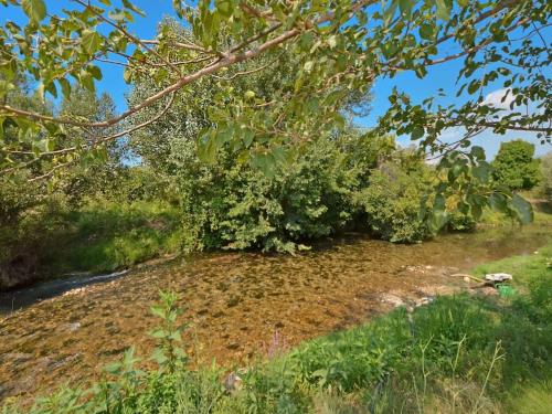 a row of trees and bushes next to a river at House with swimming heated pool next to the river in Podstrana